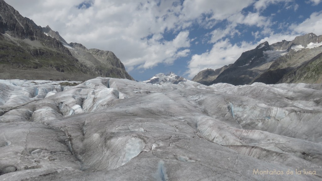 Marcha por el Glaciar Aletsch